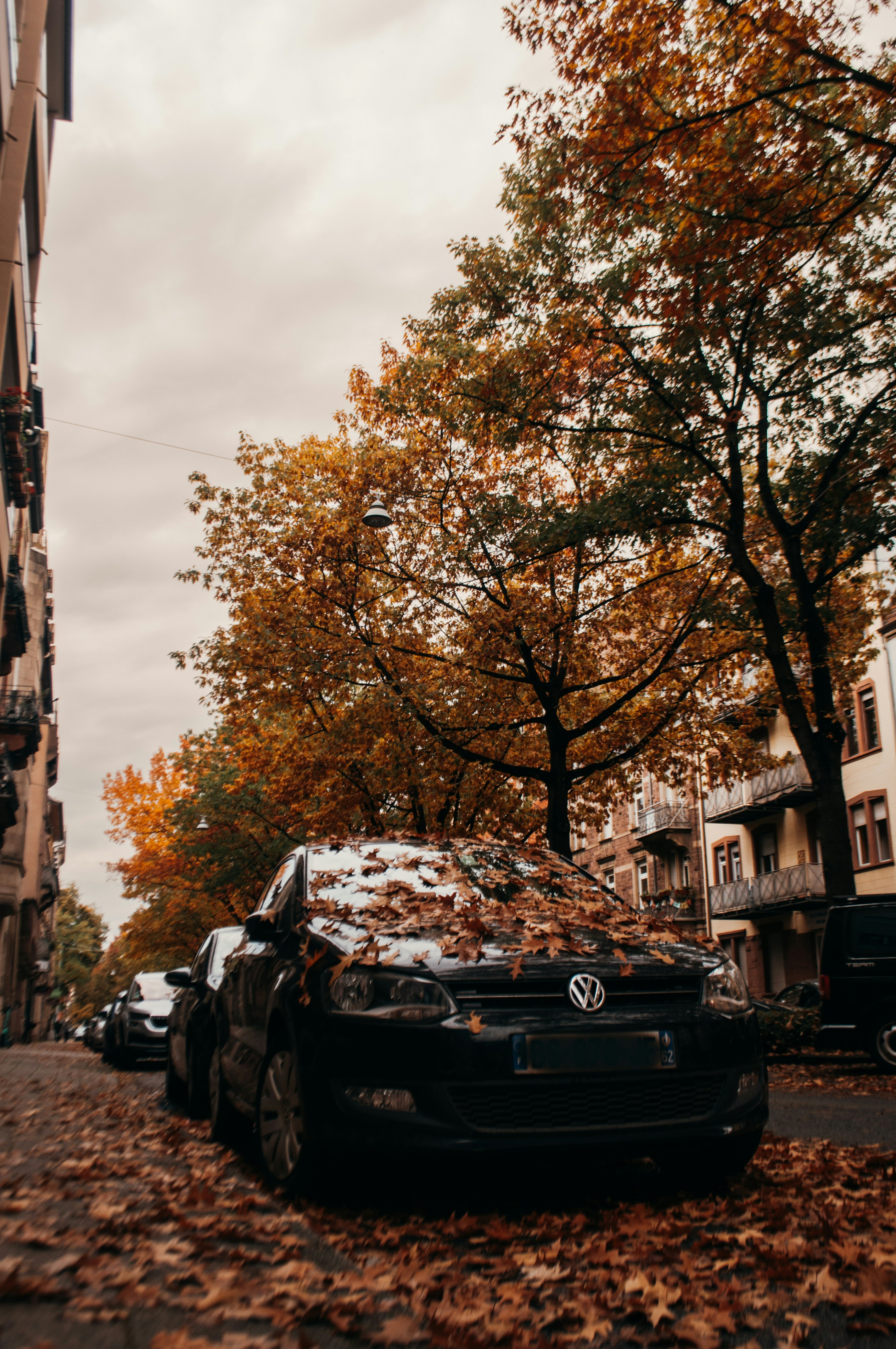 Photo by nelsonwongisme