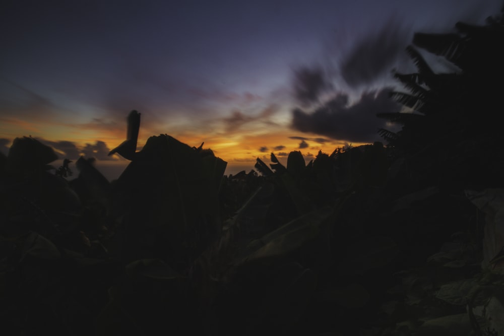 a silhouette of a city at sunset