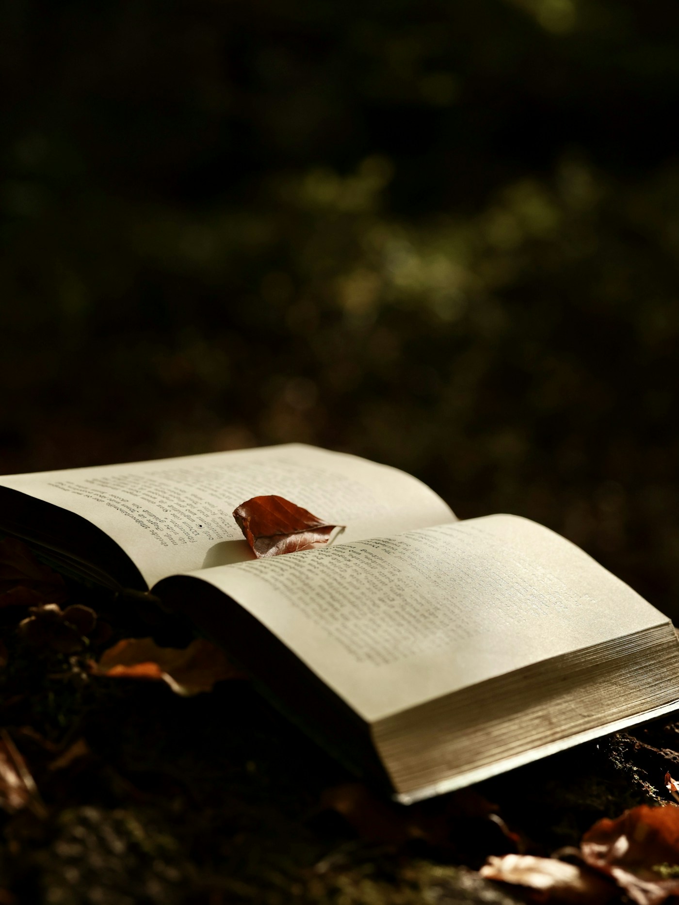 Fantasy books