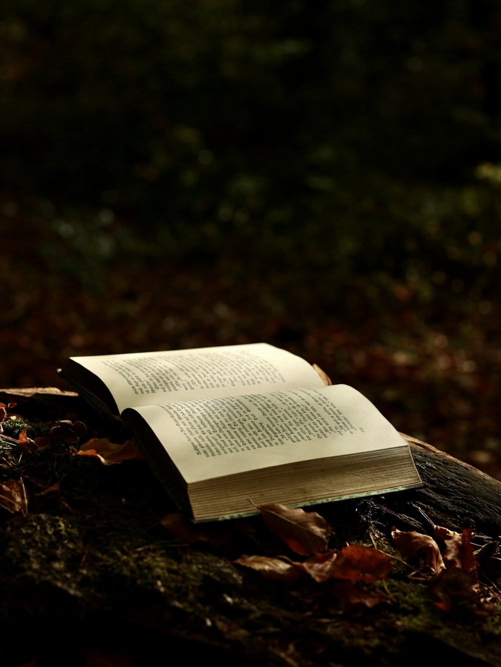 a book on a pile of leaves