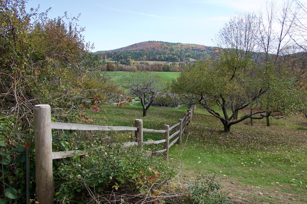 a fence in a field