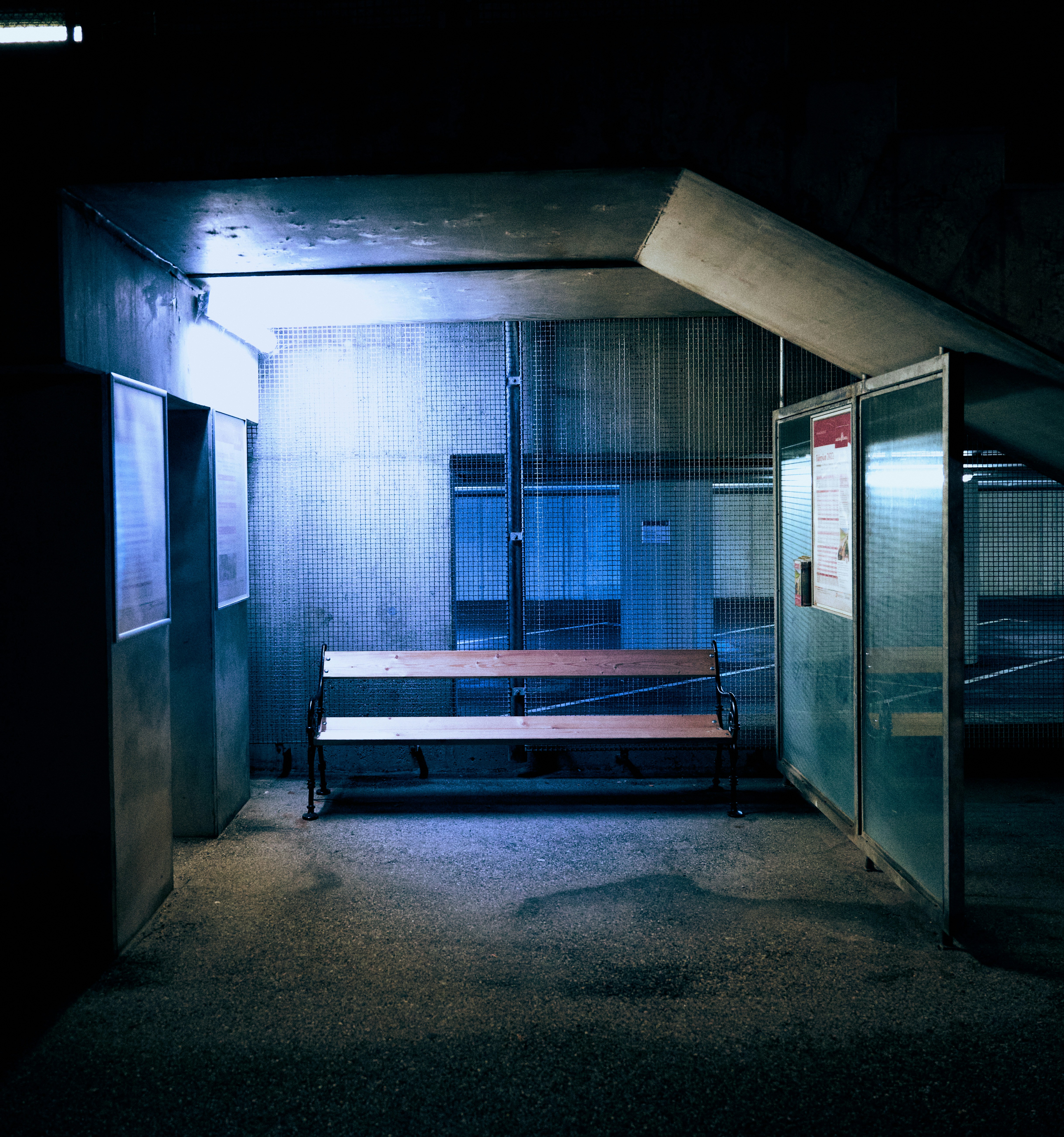 Photo by travelalphawolf