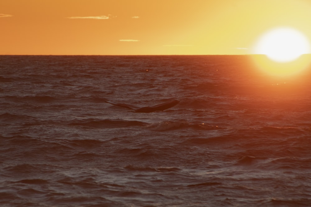 un coucher de soleil sur un plan d’eau