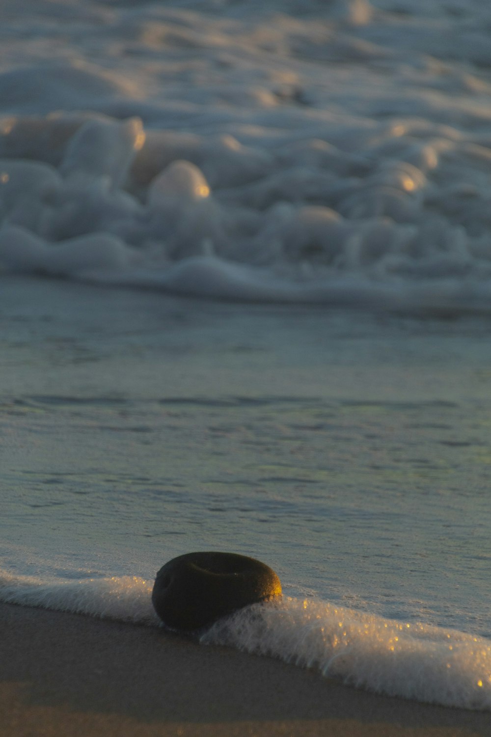 a rock on a beach