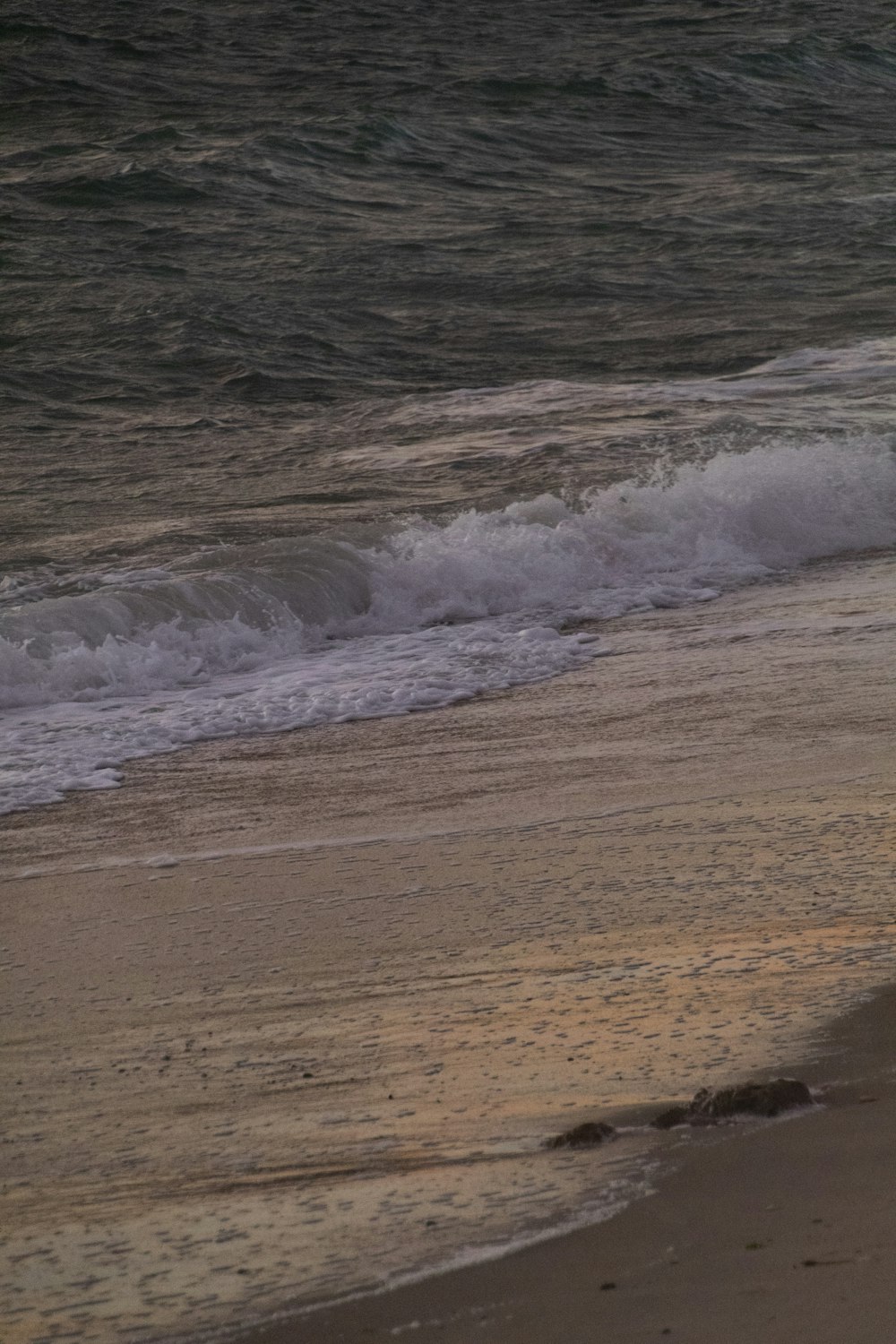 onde che si infrangono su una spiaggia