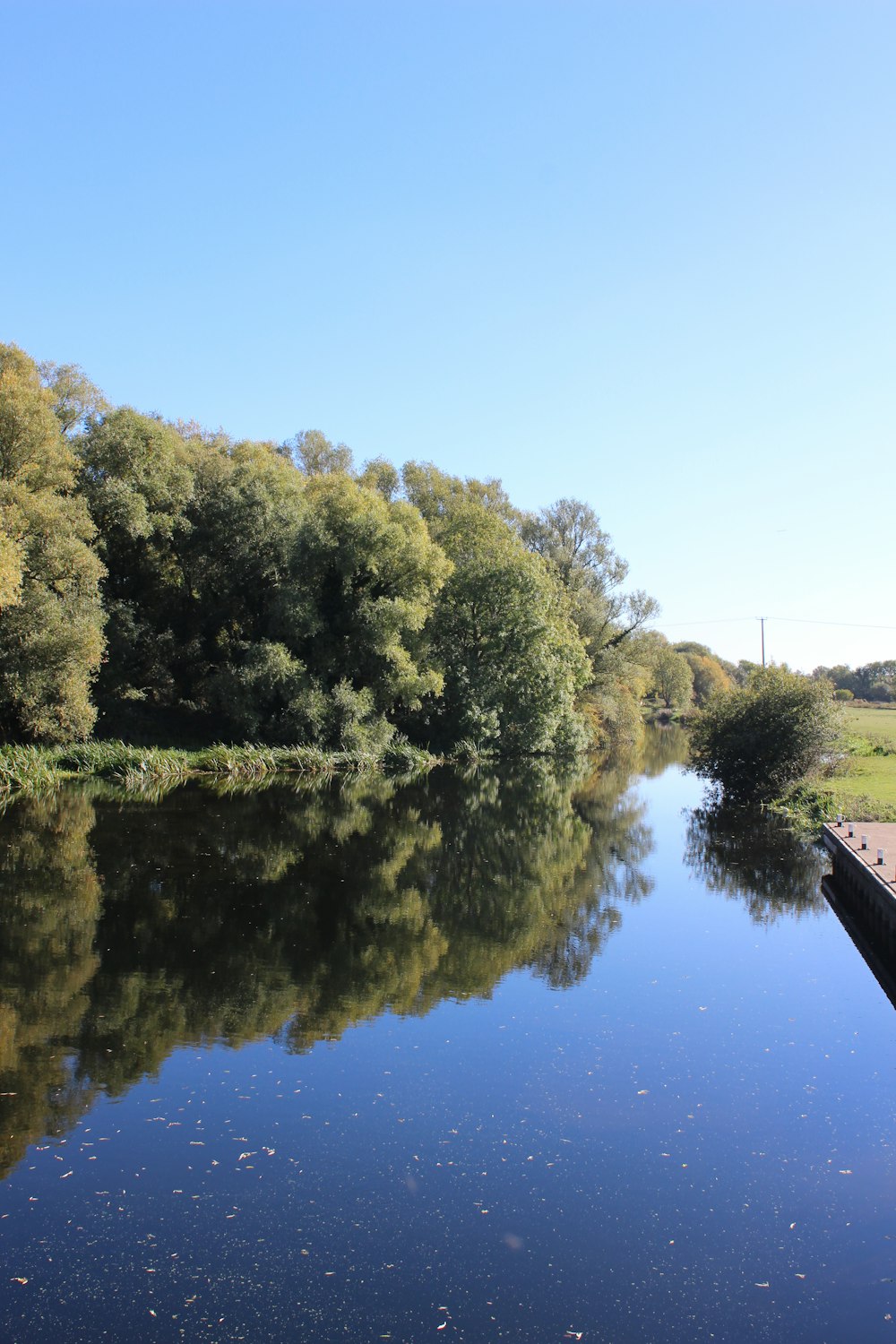 a body of water with trees around it