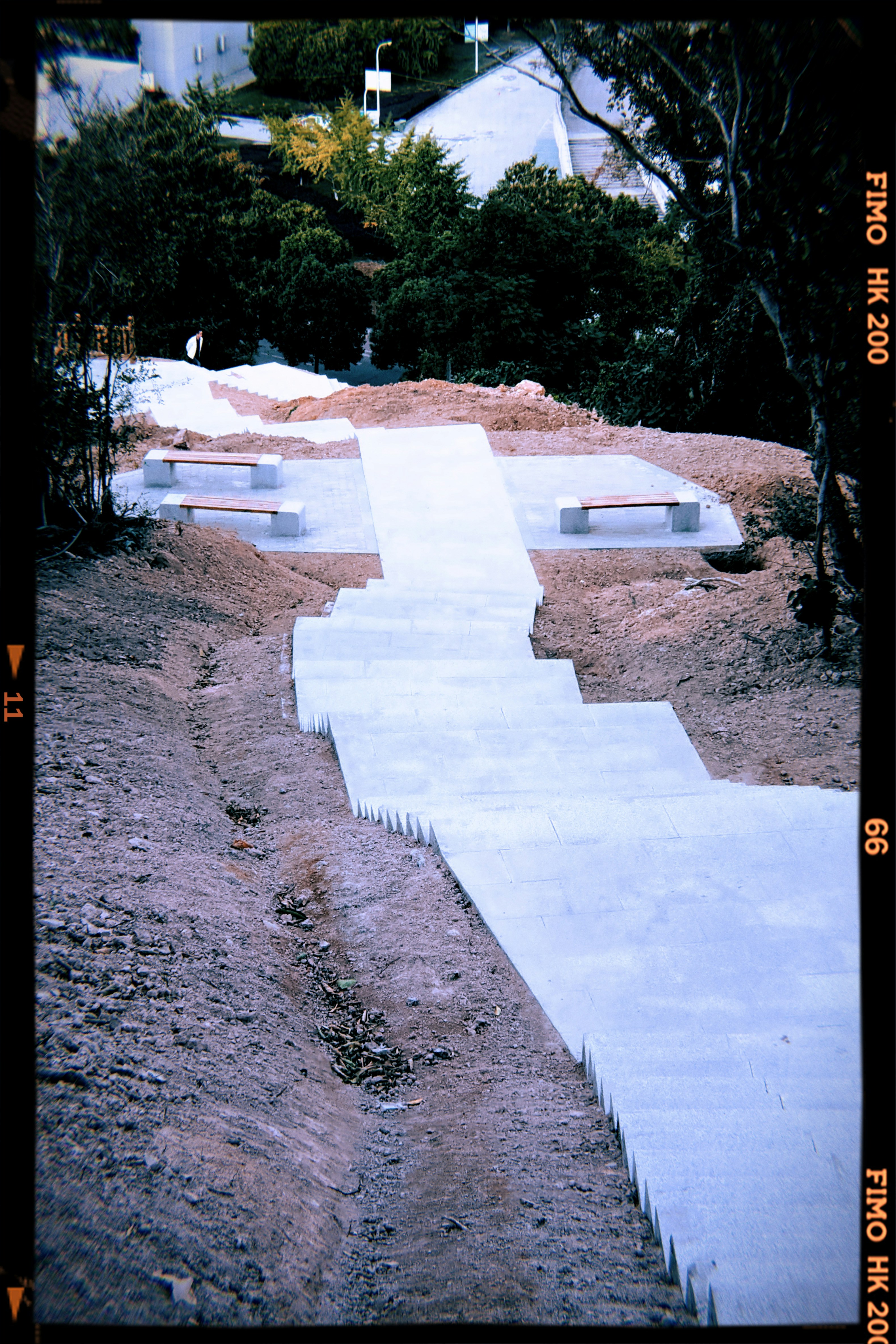 a path with a bench and trees