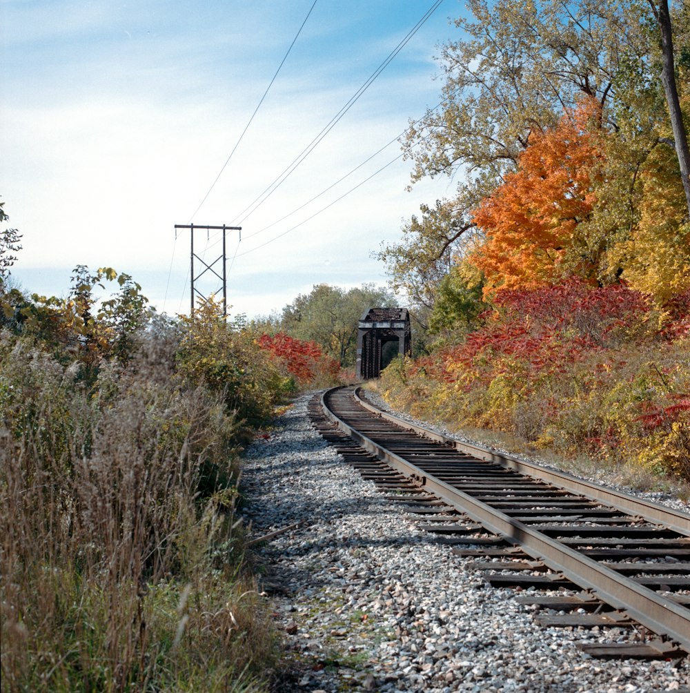 train tracks with trees on either side