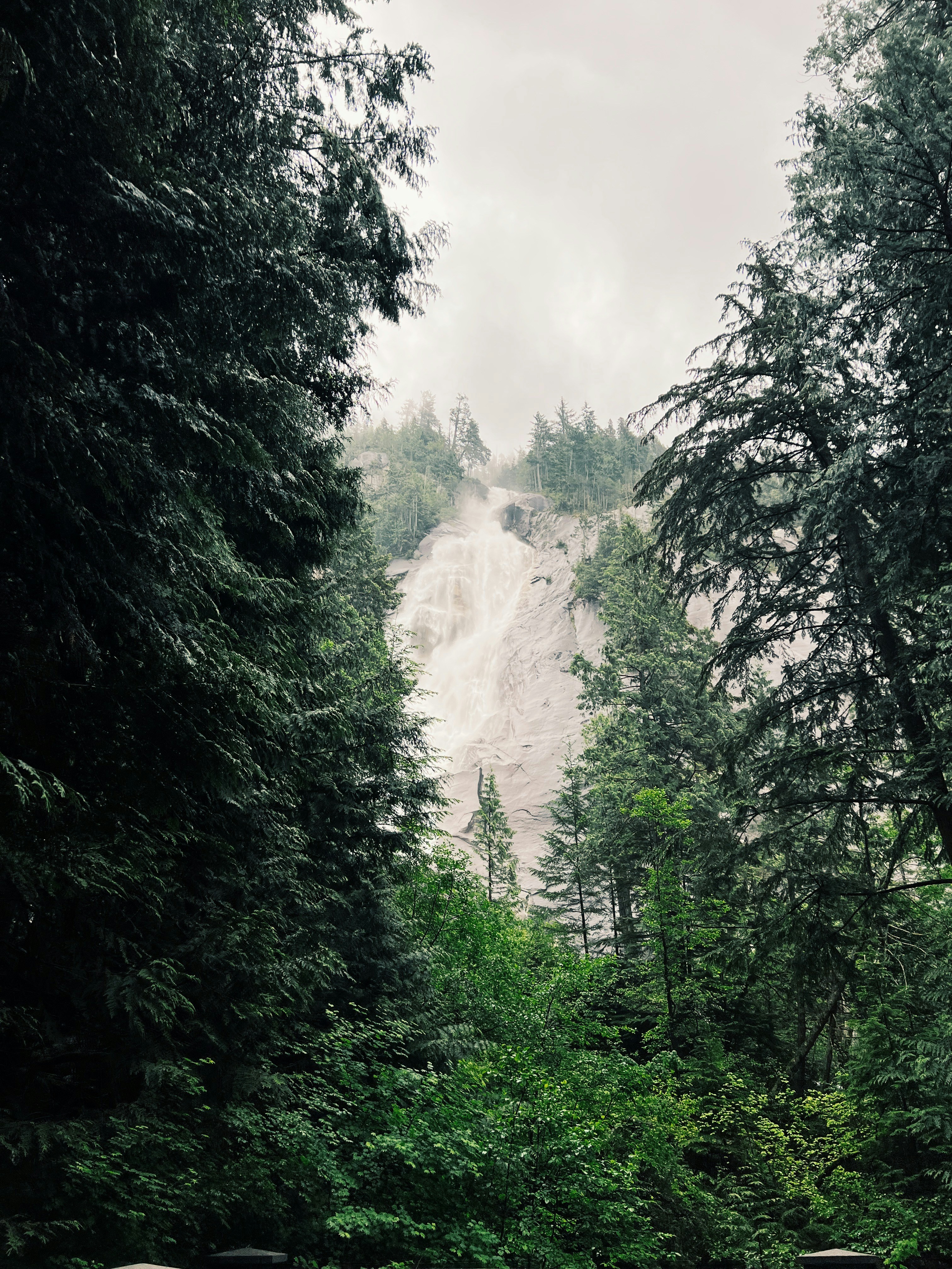 A waterfall in a forest