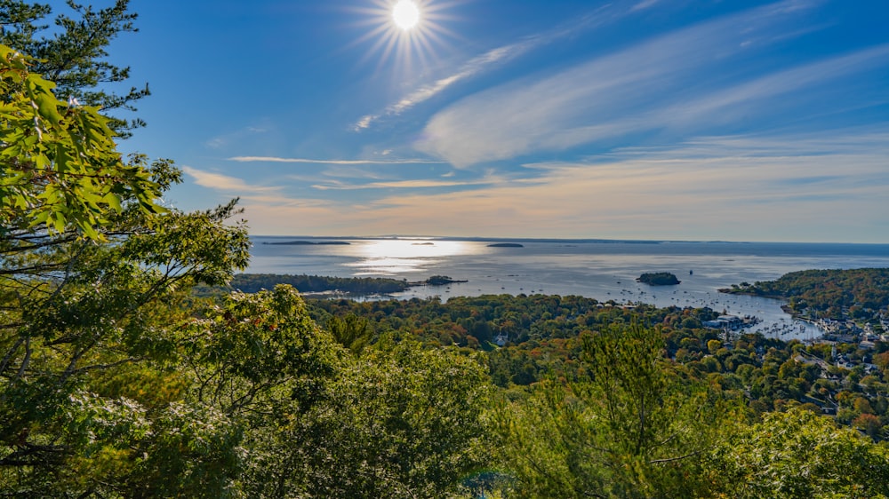 a view of a city and the ocean from a hill