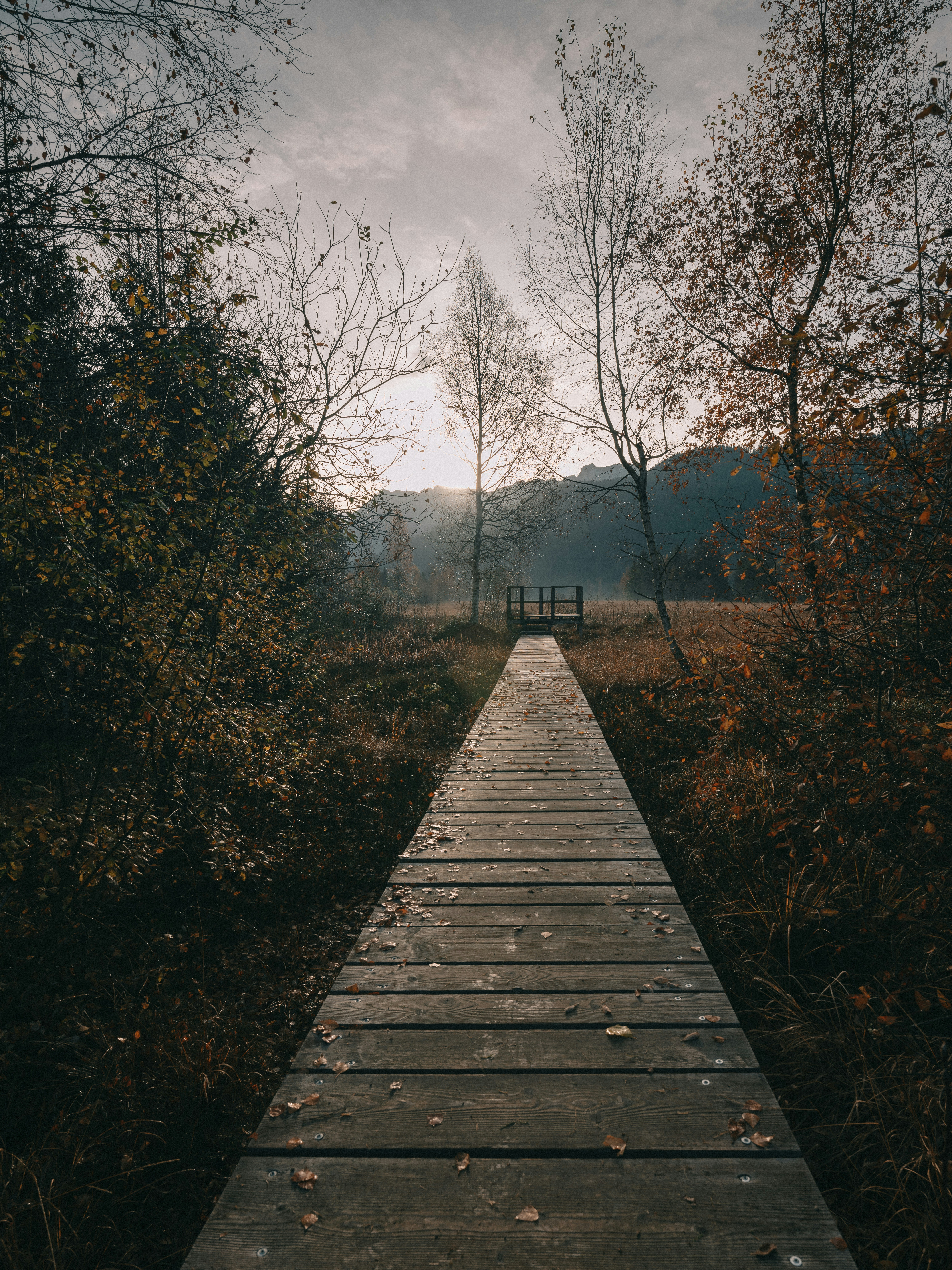 Photo by fabianbetto