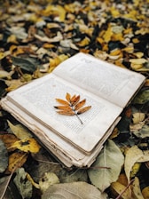 a book open on a pile of leaves