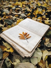 a book open on a pile of leaves