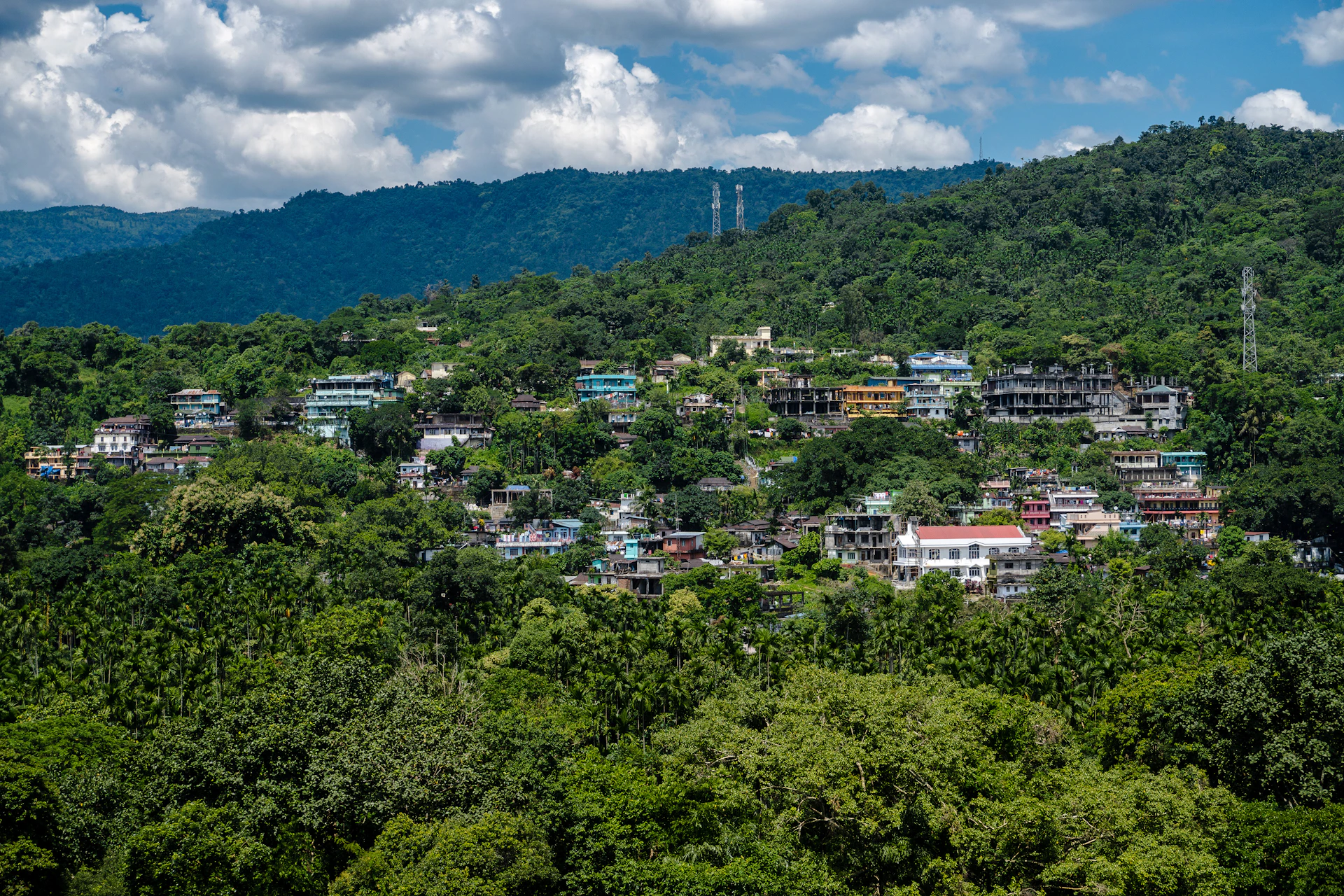 a city surrounded by trees