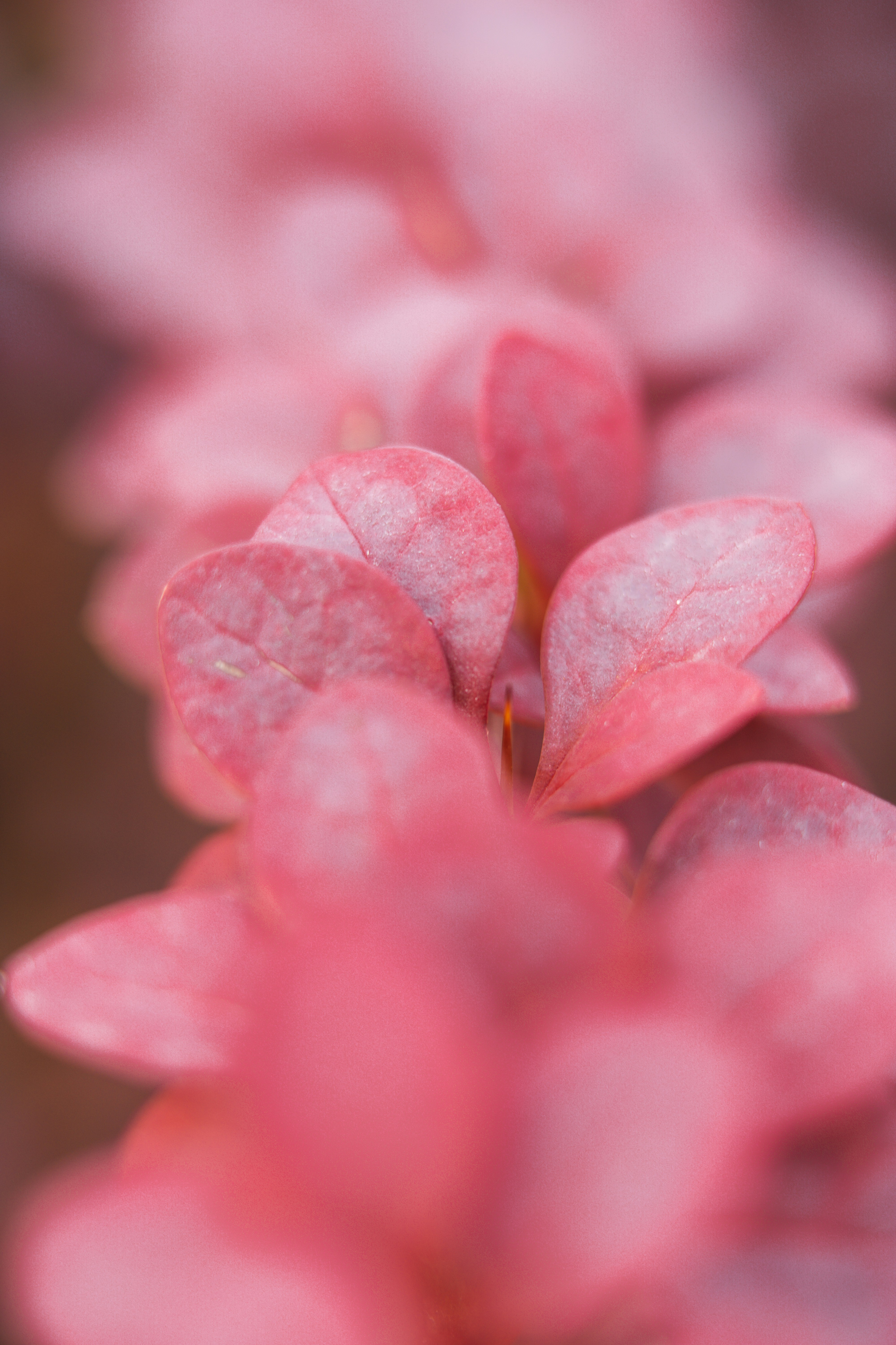 Photo by anamnesis33