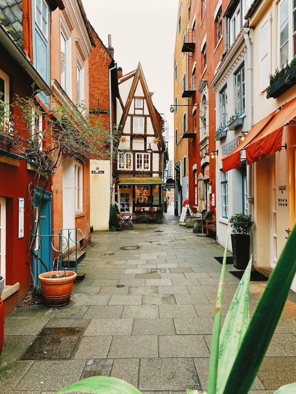 a narrow alley between buildings