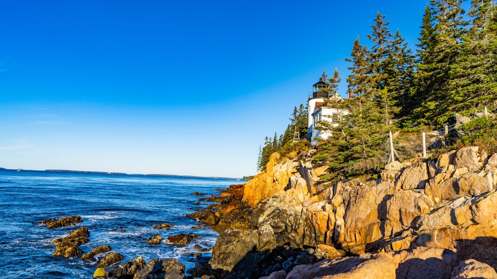 a rocky beach with trees and a building on a hill by the water