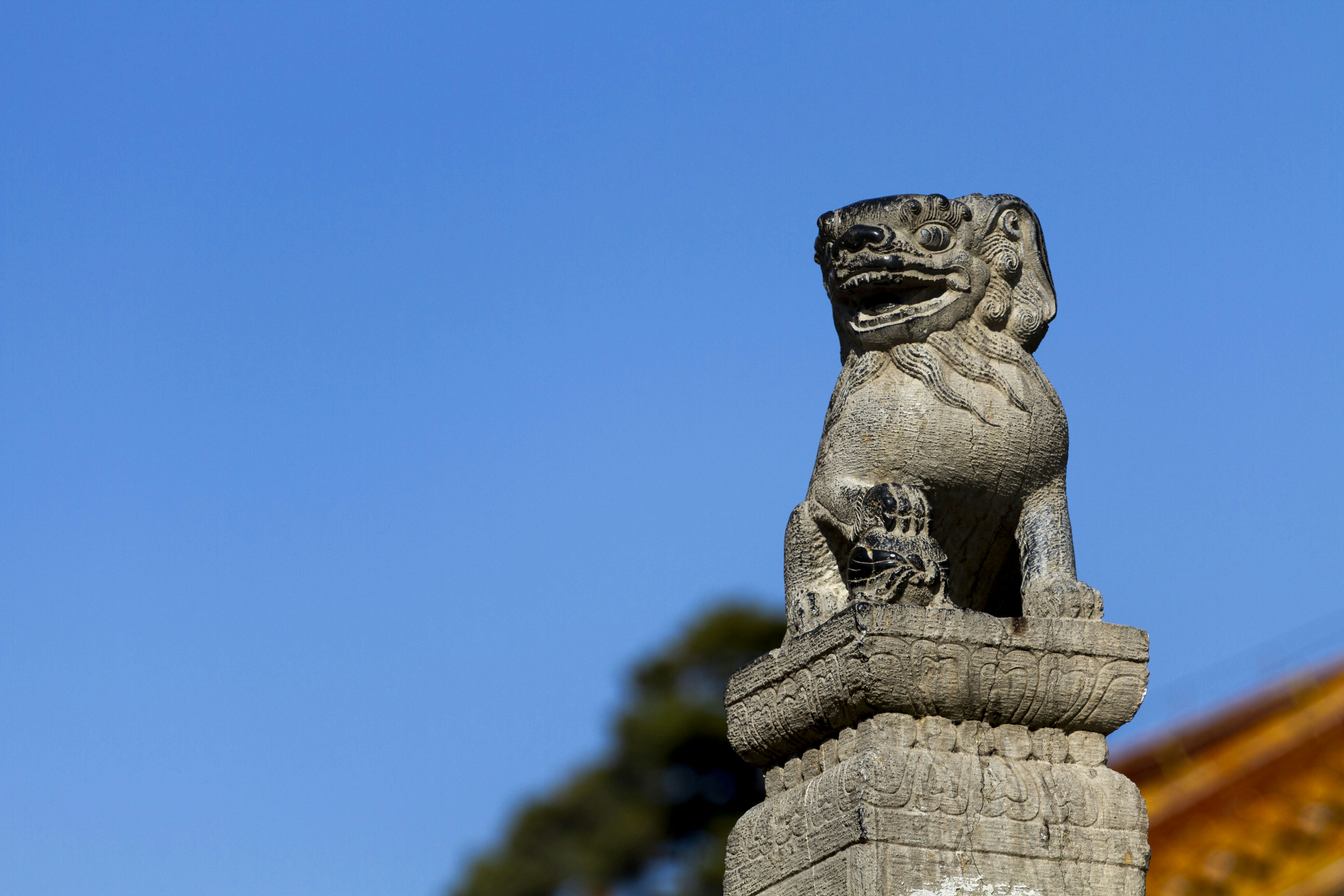 A stone lion statue photo Free Chinese ancient building Image on Unsplash