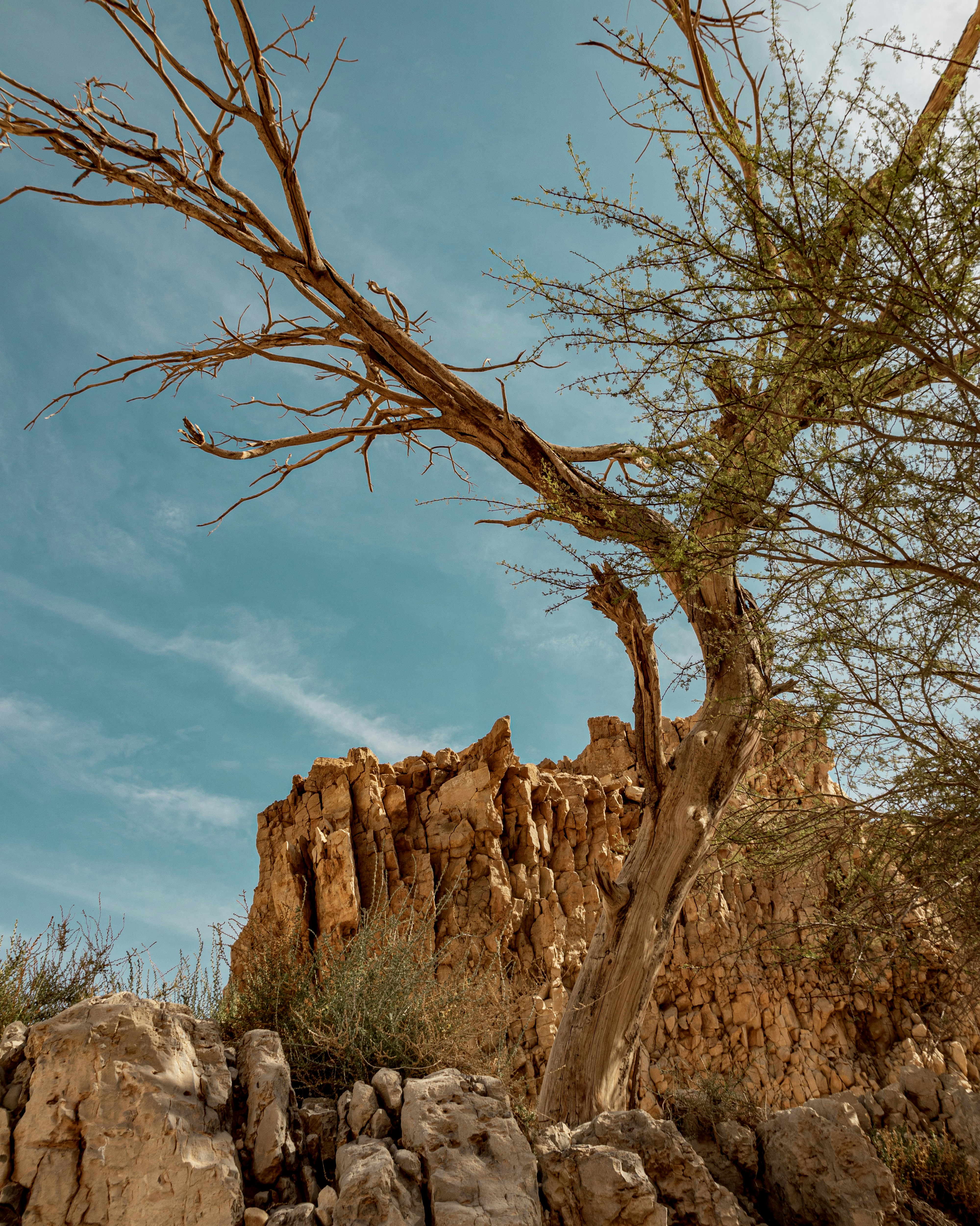 Photo by shahafwieder