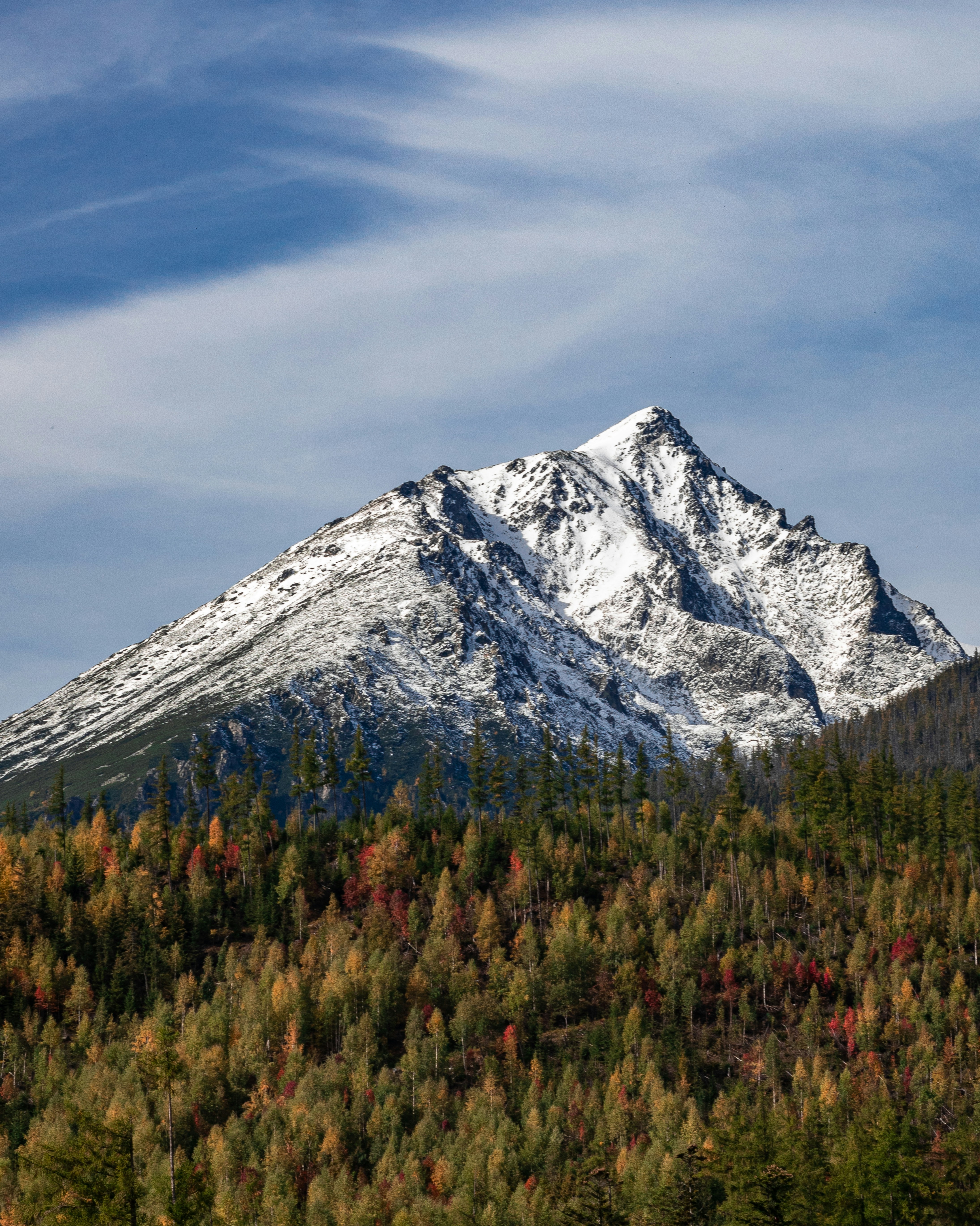 Photo by shahafwieder