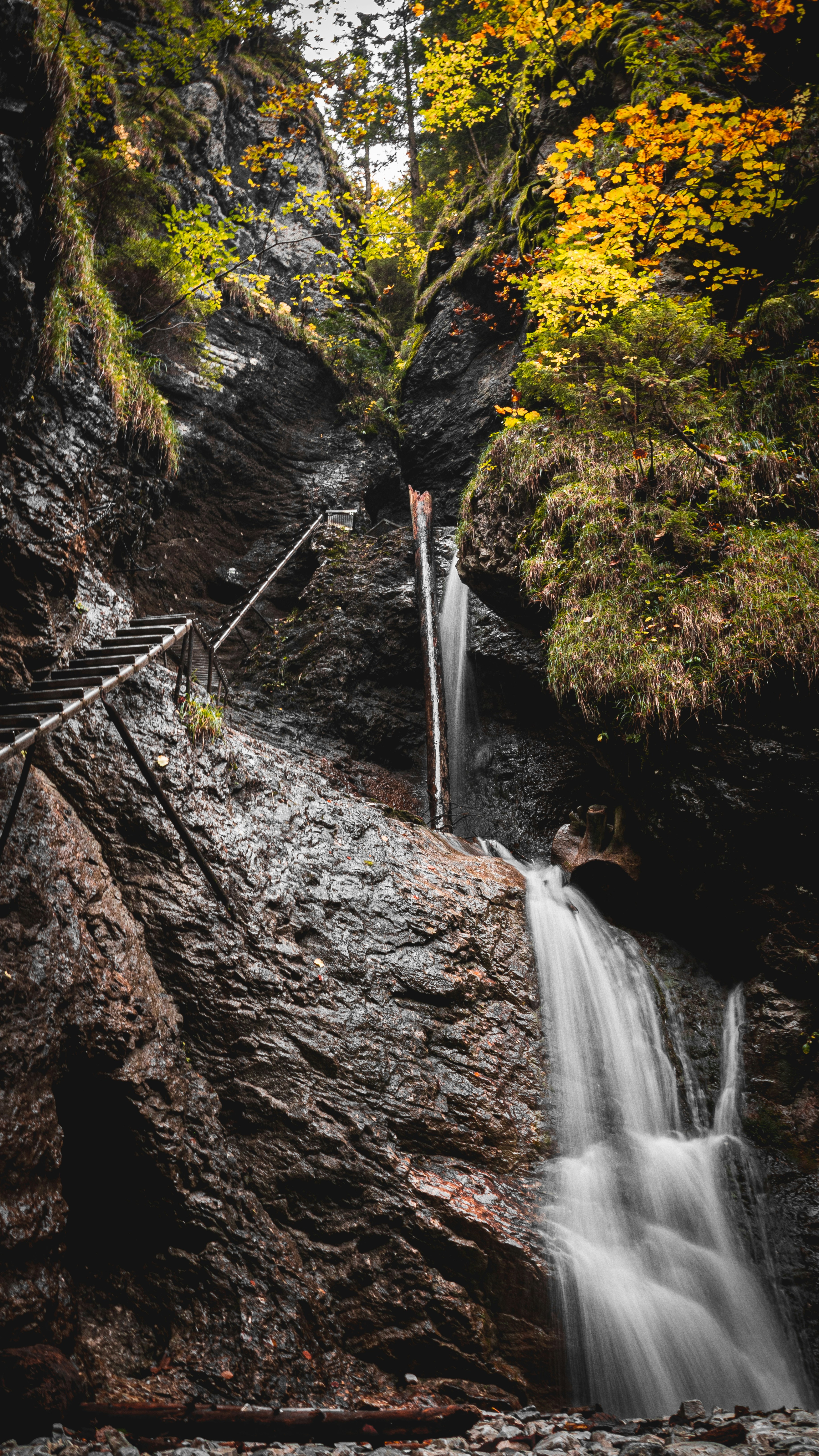 Photo by shahafwieder