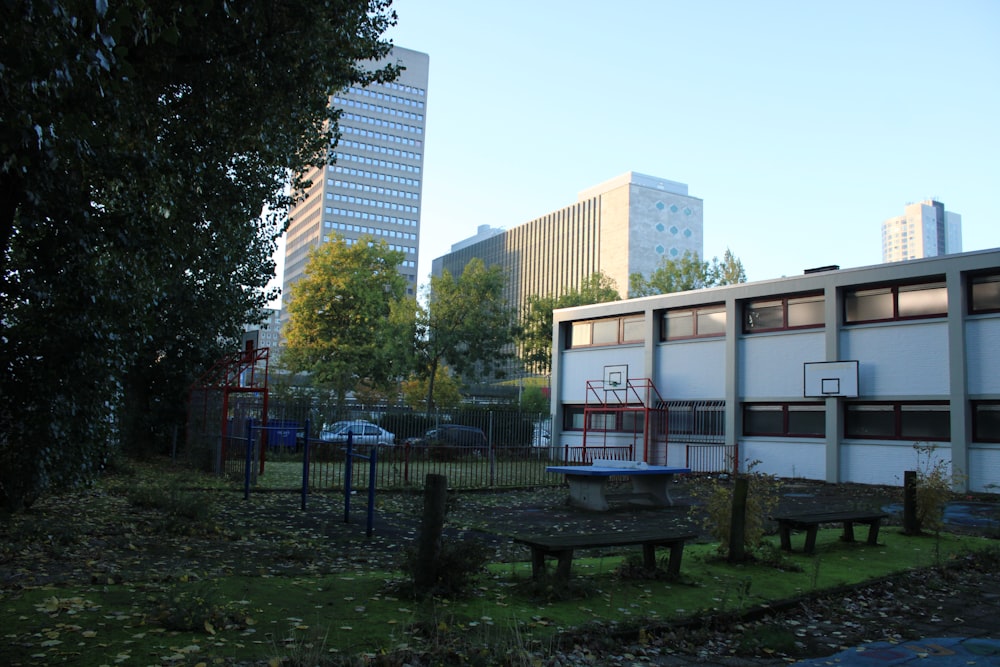 a park with benches and trees