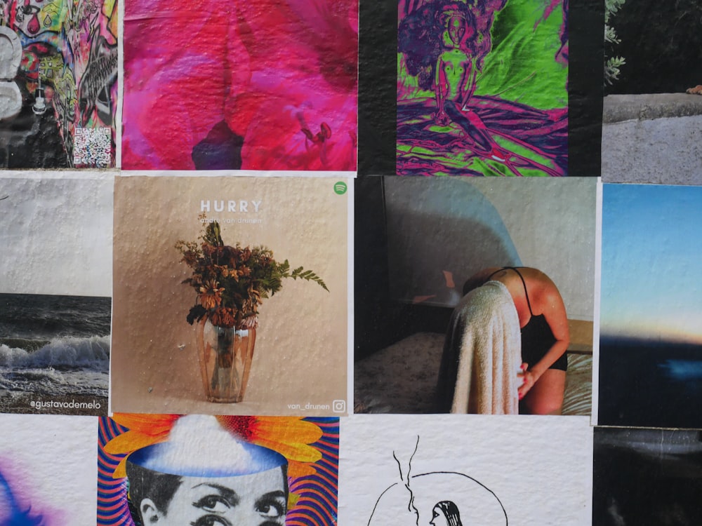 Un collage de imágenes de una persona con una prenda y una planta
