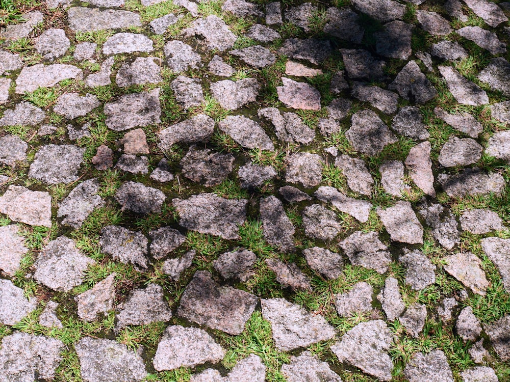 a pile of rocks