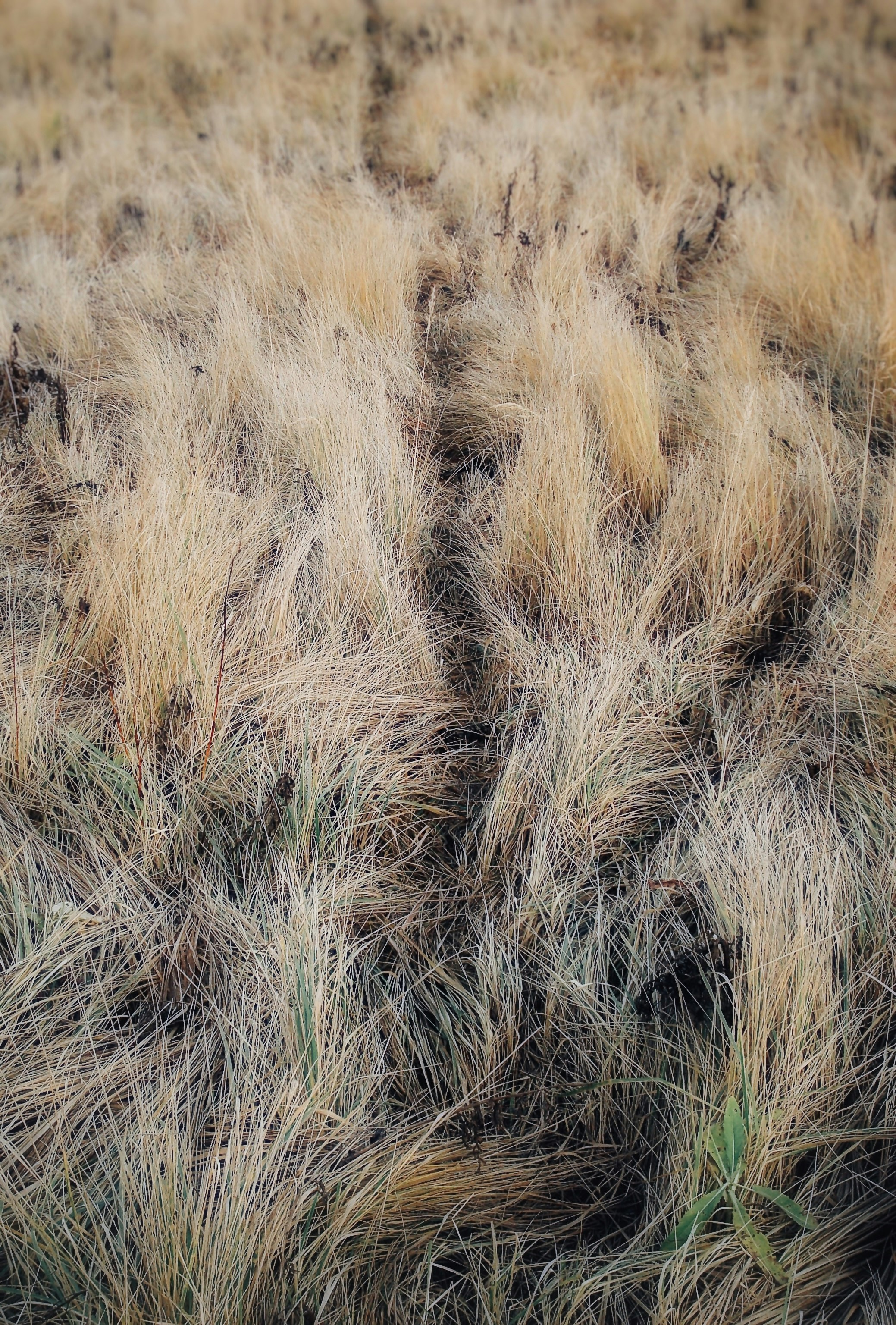 Photo by eugene_golovesov