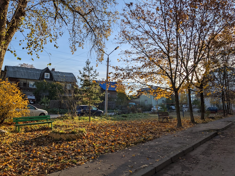 a sidewalk with trees and benches