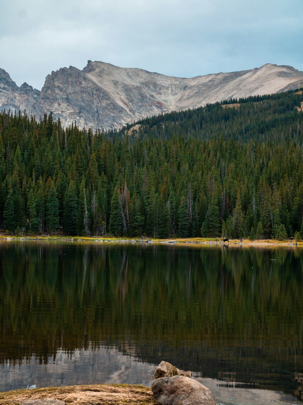 a lake with trees and mountains in the background