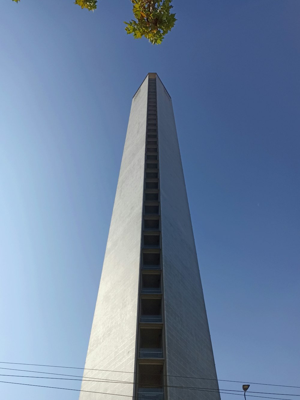 a tall building with a tree in the foreground