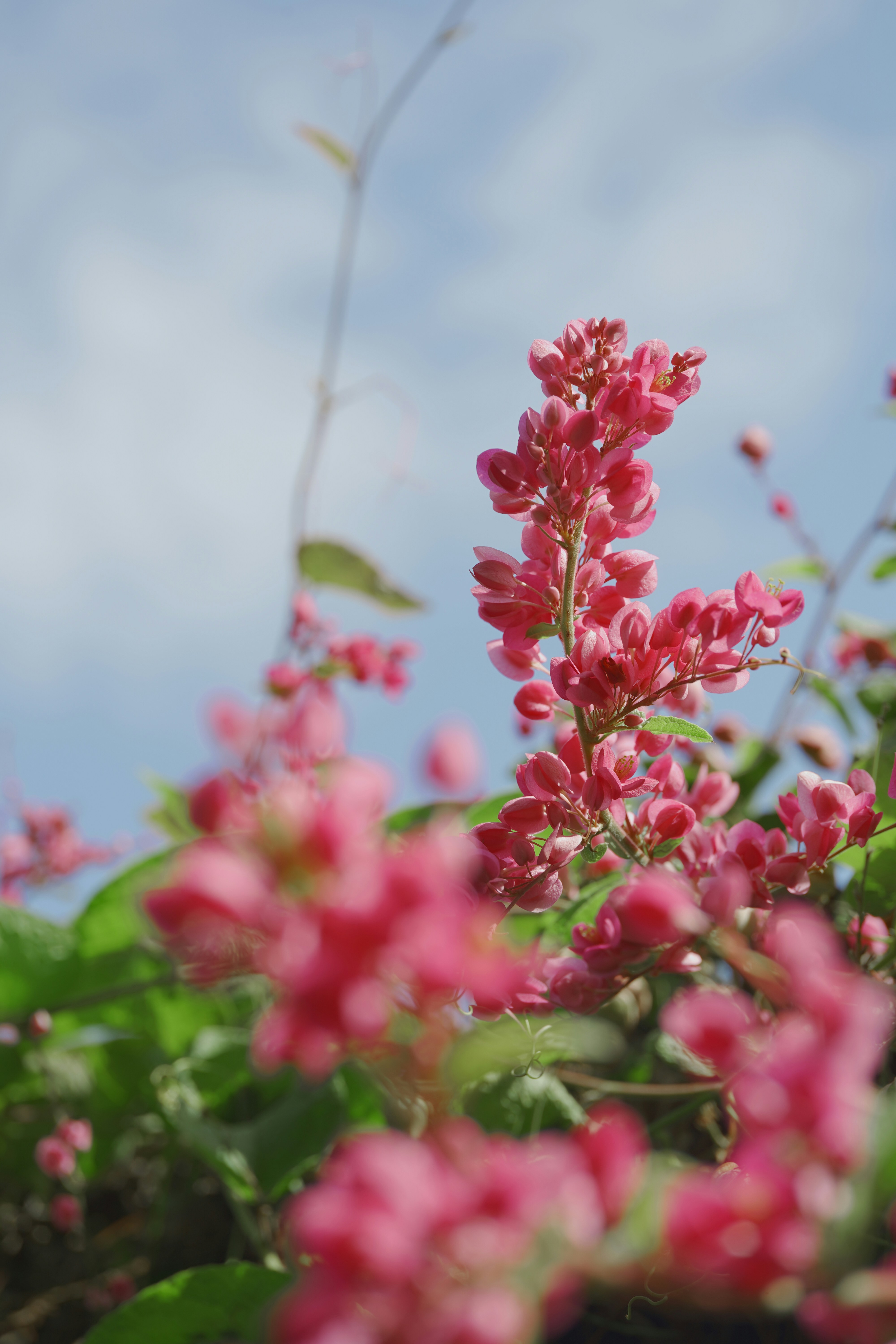 Photo by msz010dzeta