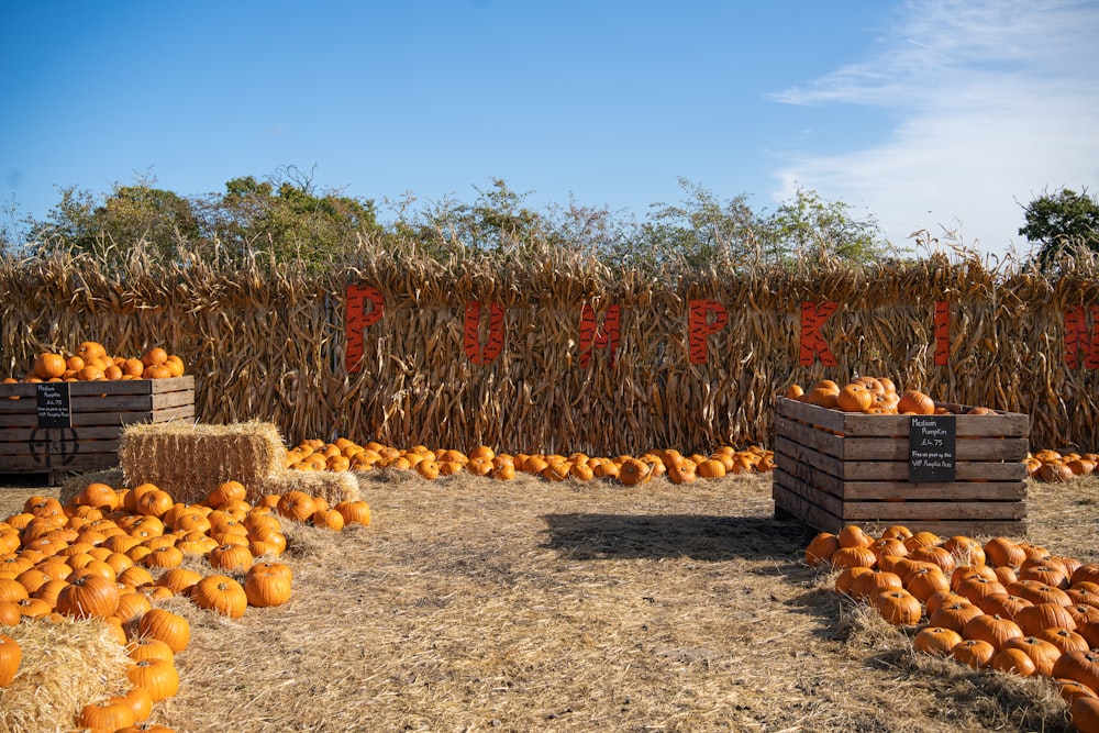 a fruit stand with fruits