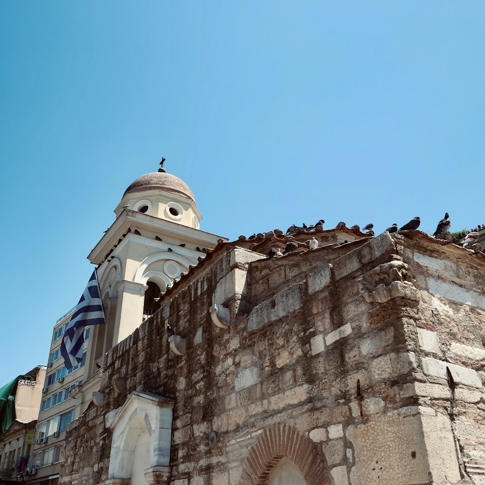 a group of birds on a building