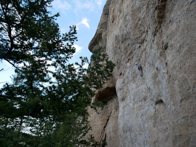 Climber gripping rocky cliff face with dense forest backdrop.