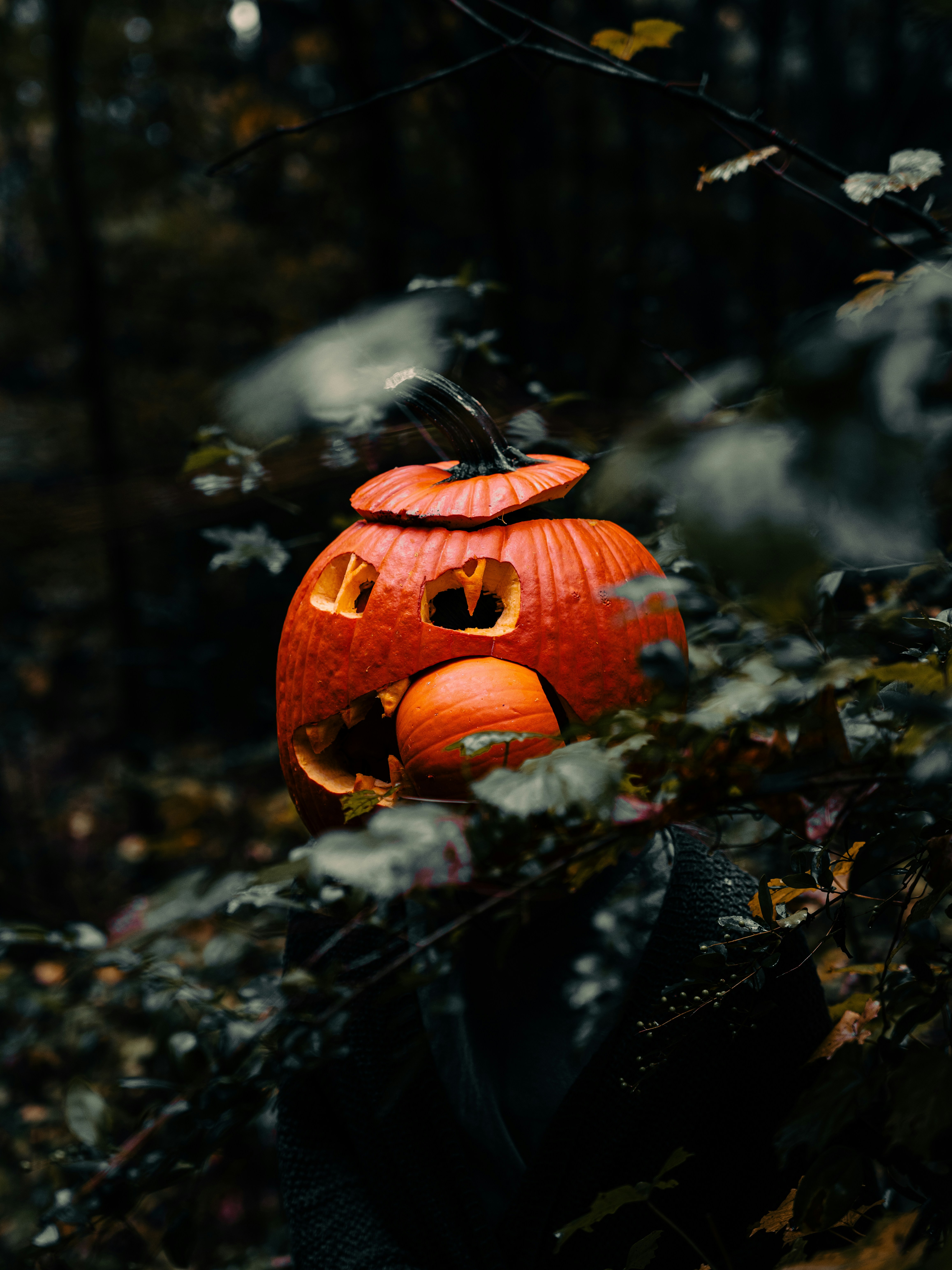 Photo by colemangloverphotography