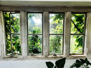 Wooden Window Set