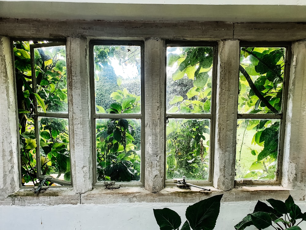 a window with trees outside