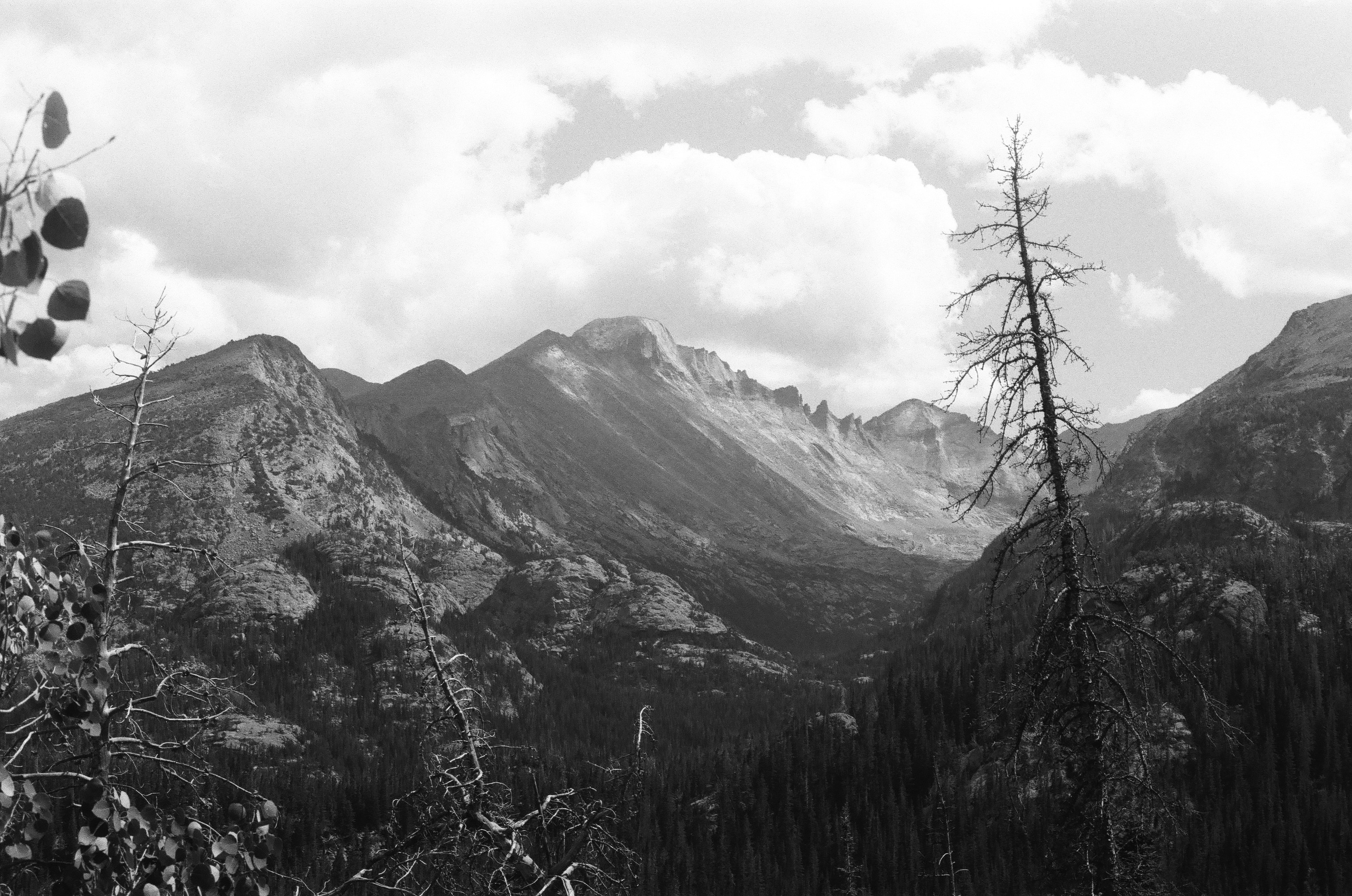 Photo by simoncbeer1