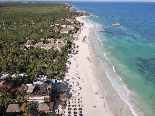 a beach with houses and trees