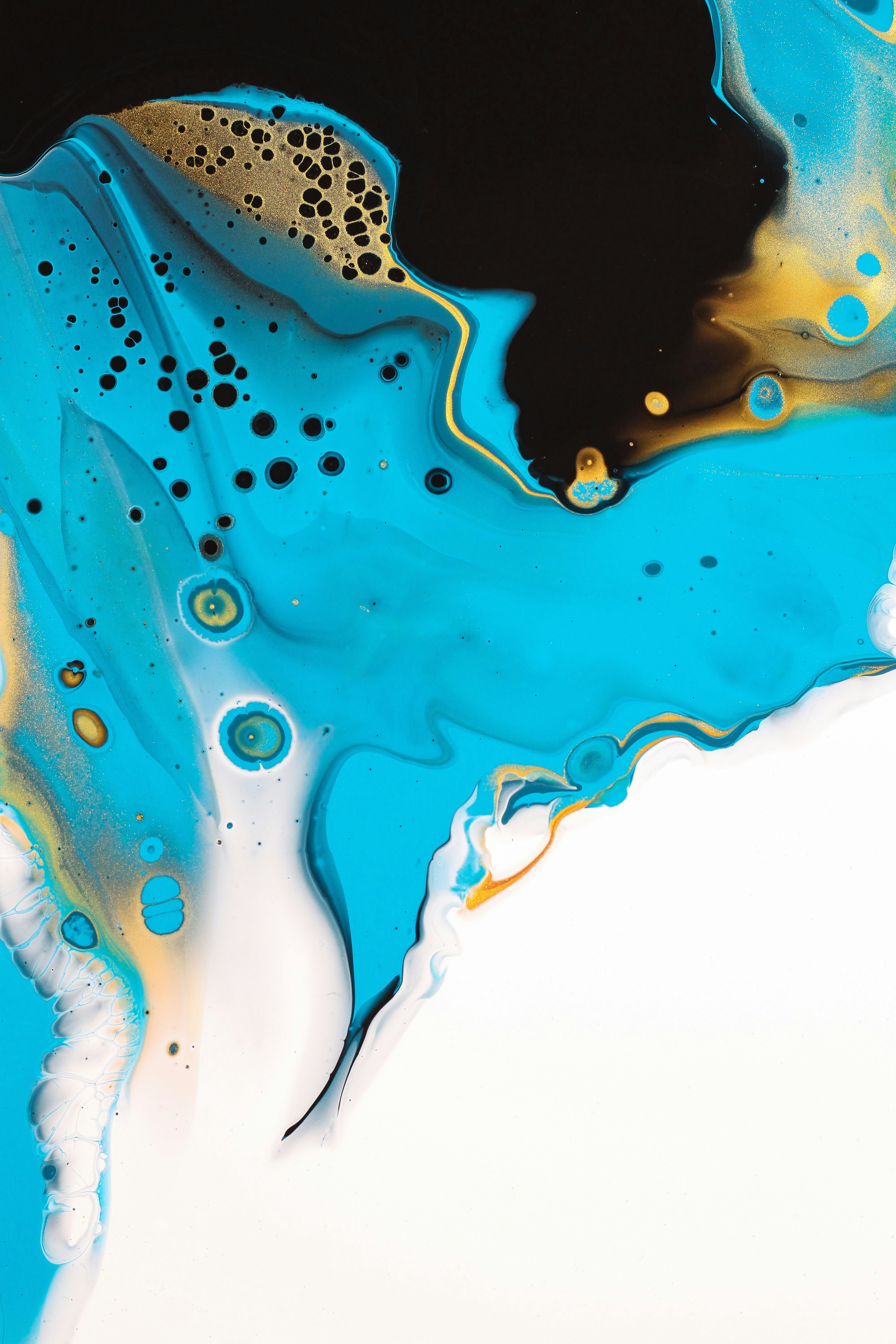 Photo by susan_wilkinson