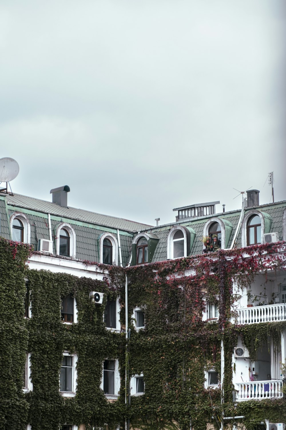 a building with ivy on it