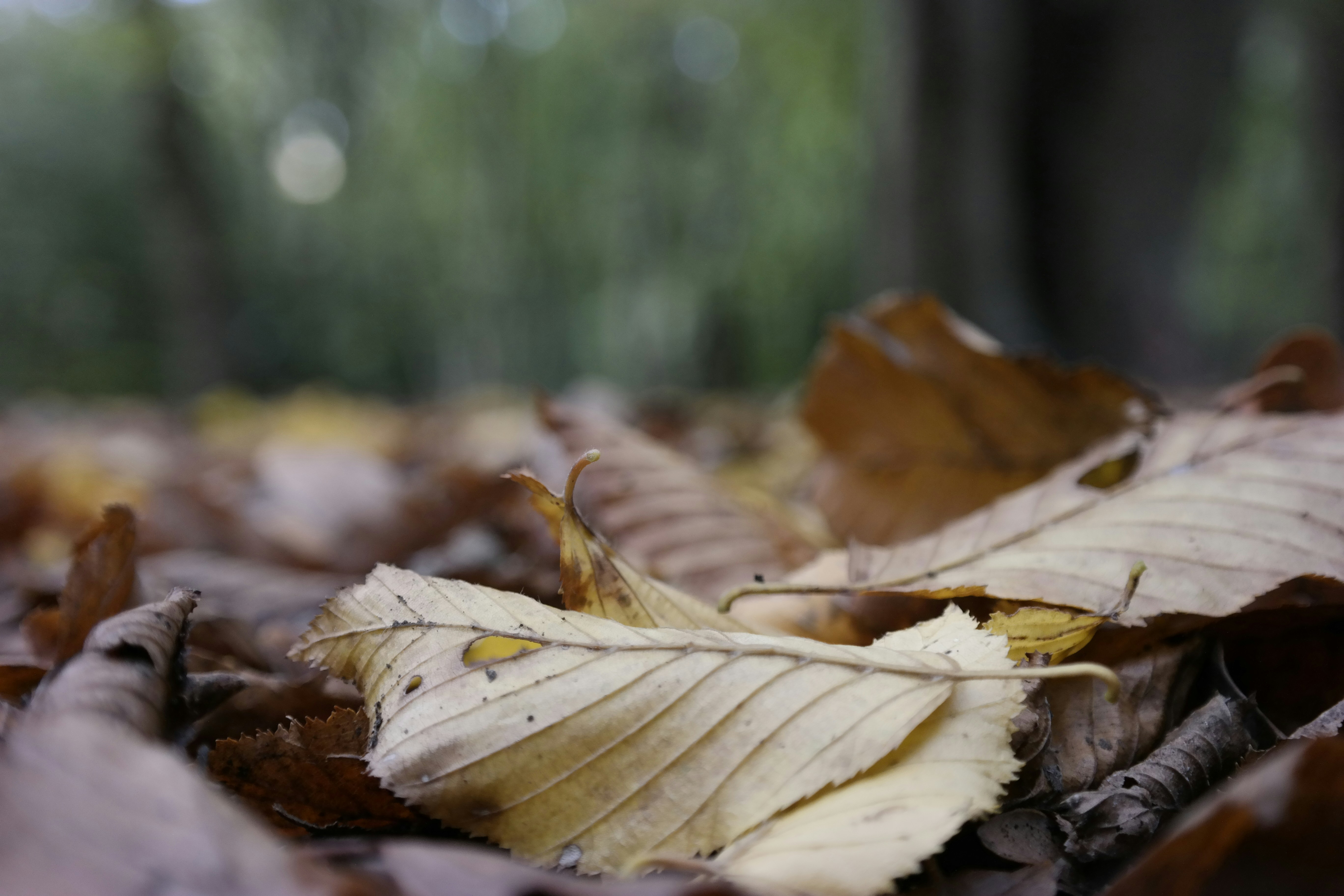 Photo by berksphotos