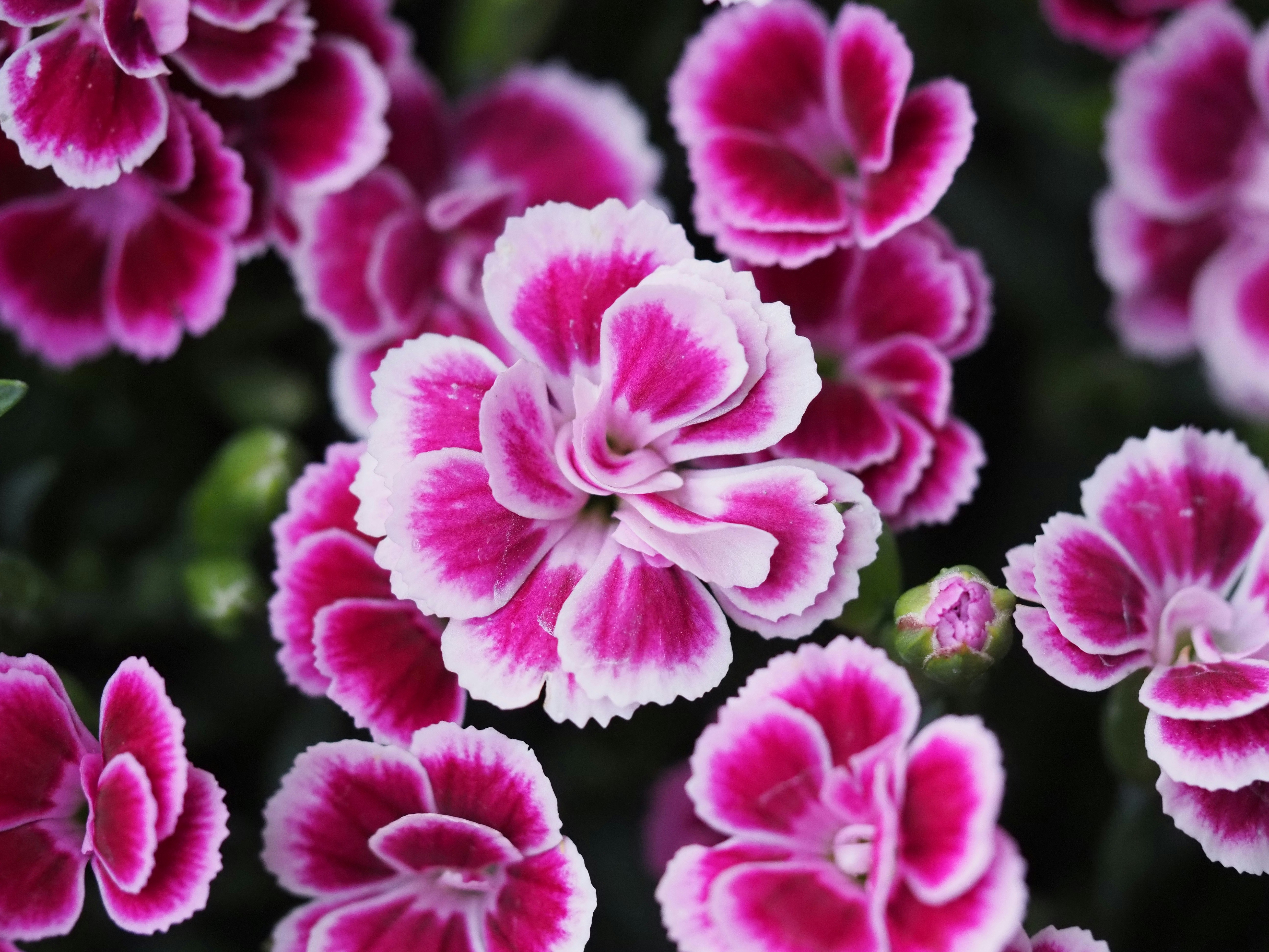 Photo by jackalope00