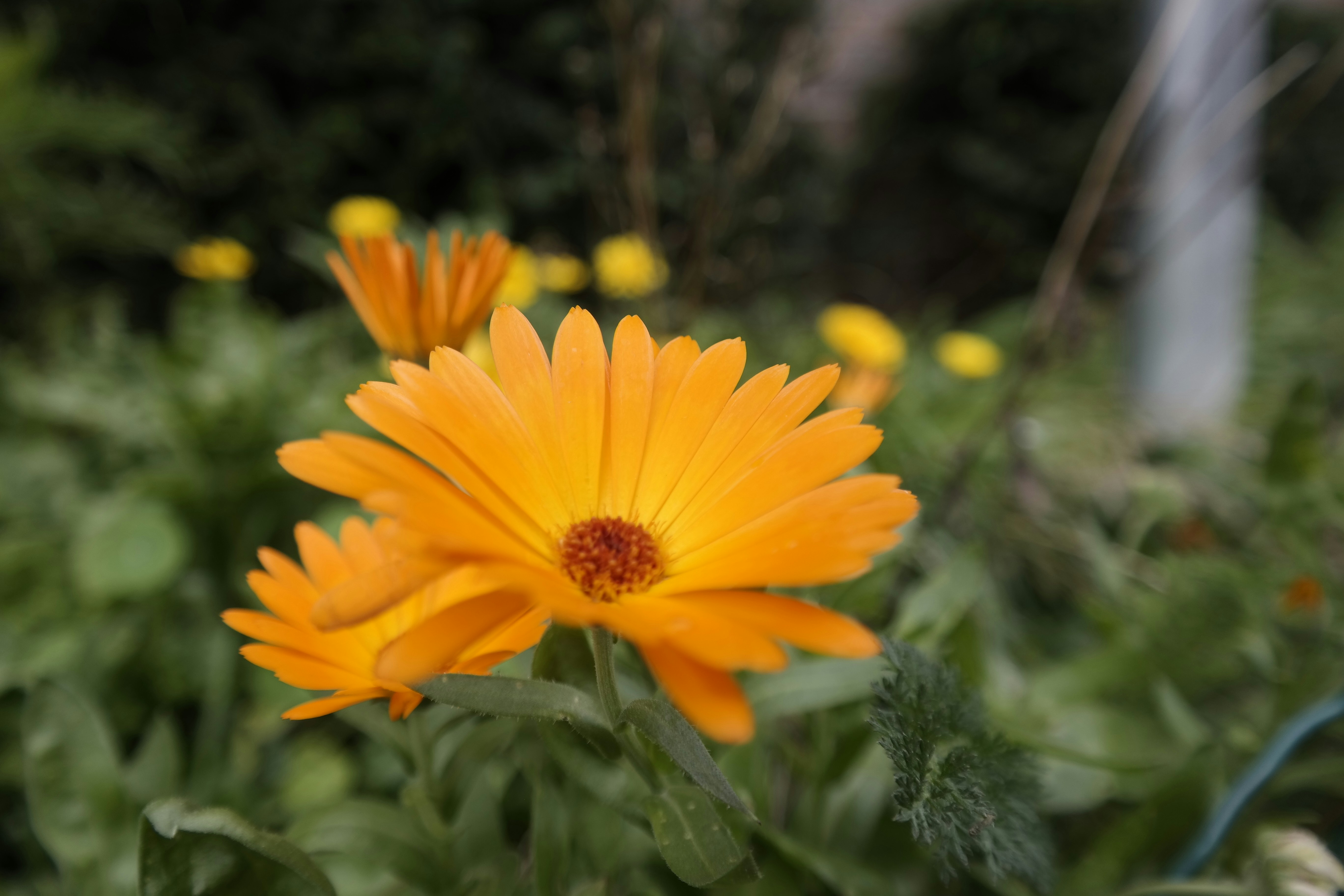 Photo by berksphotos