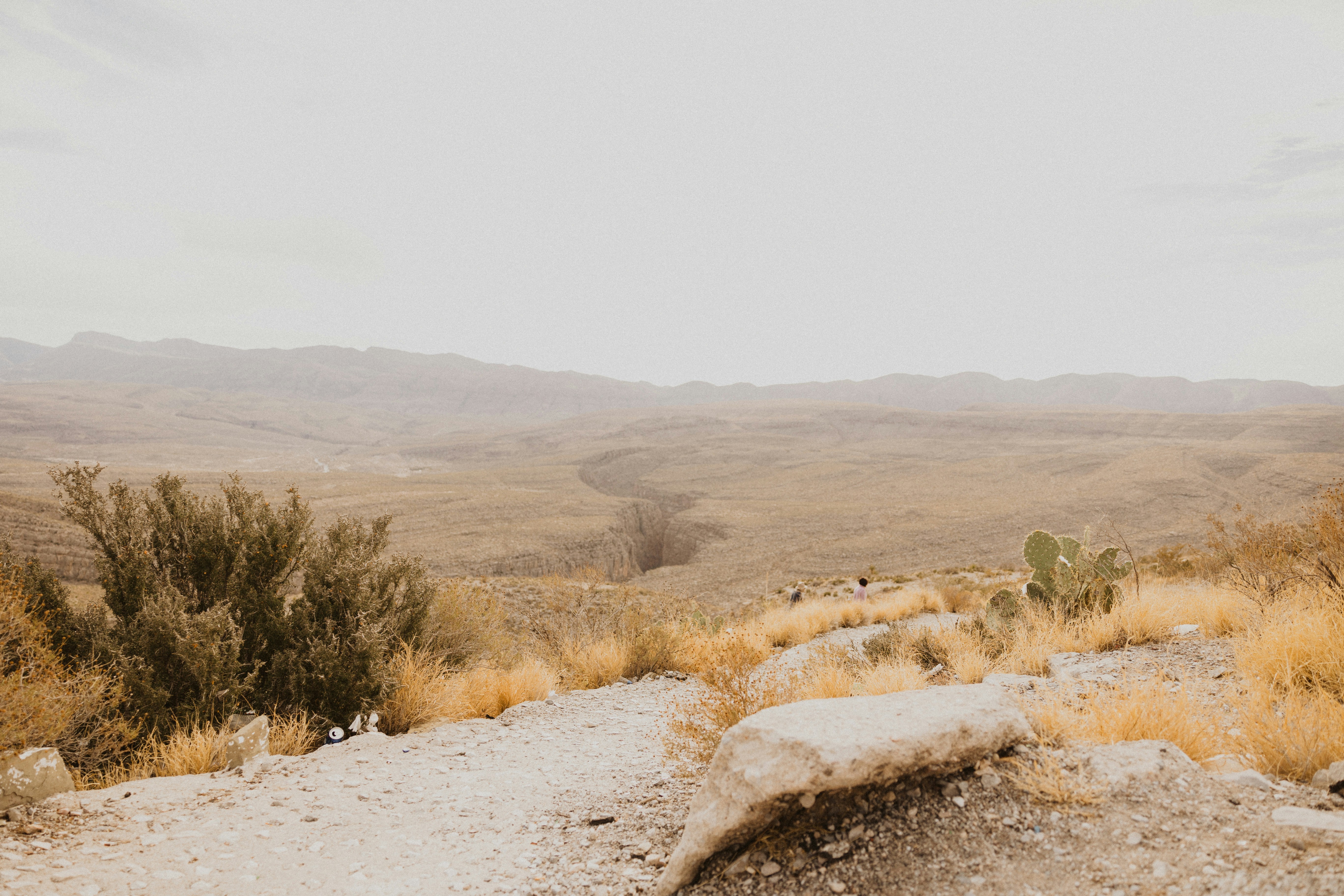 Photo by jorgeflores