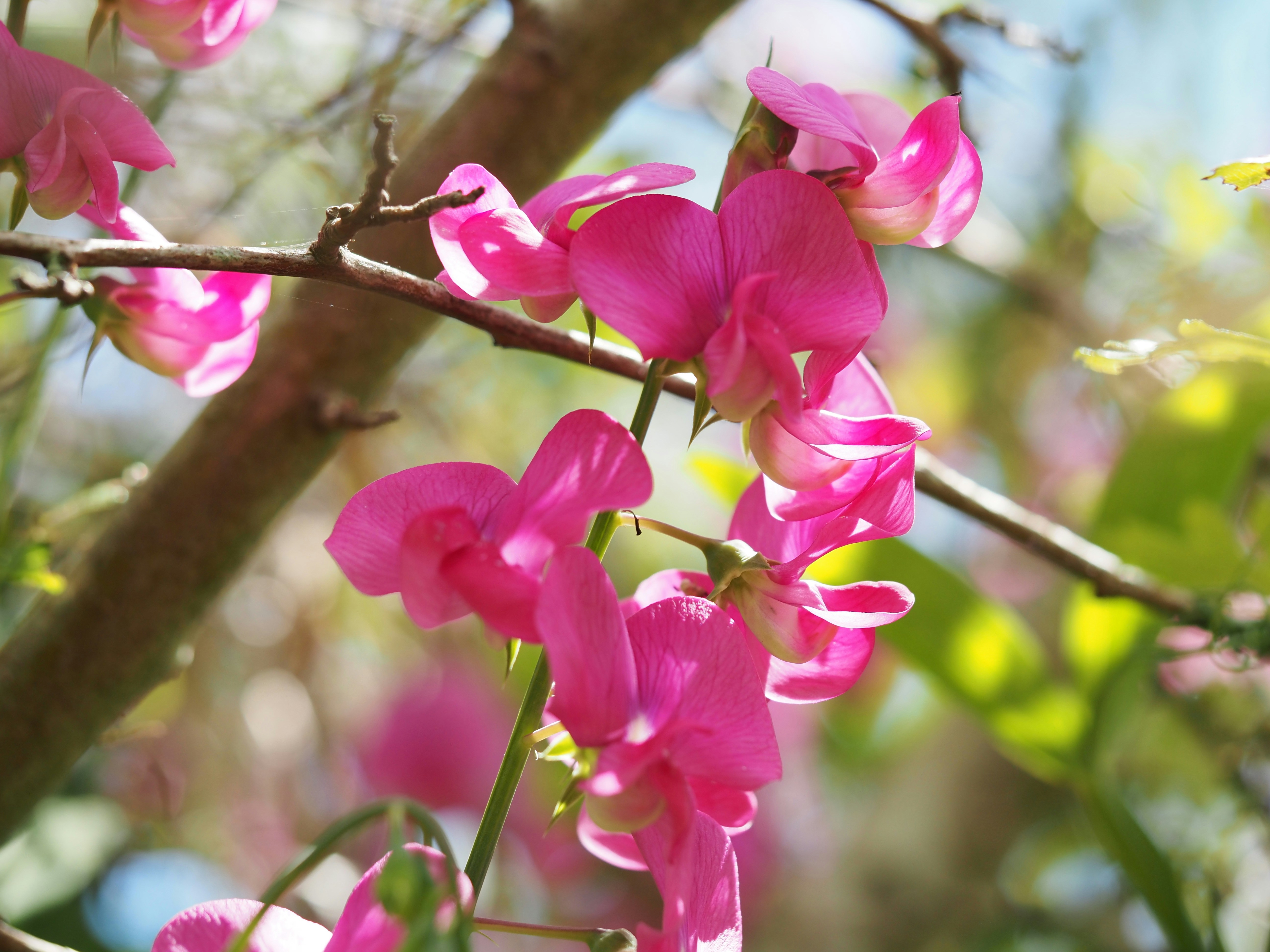 Photo by jackalope00