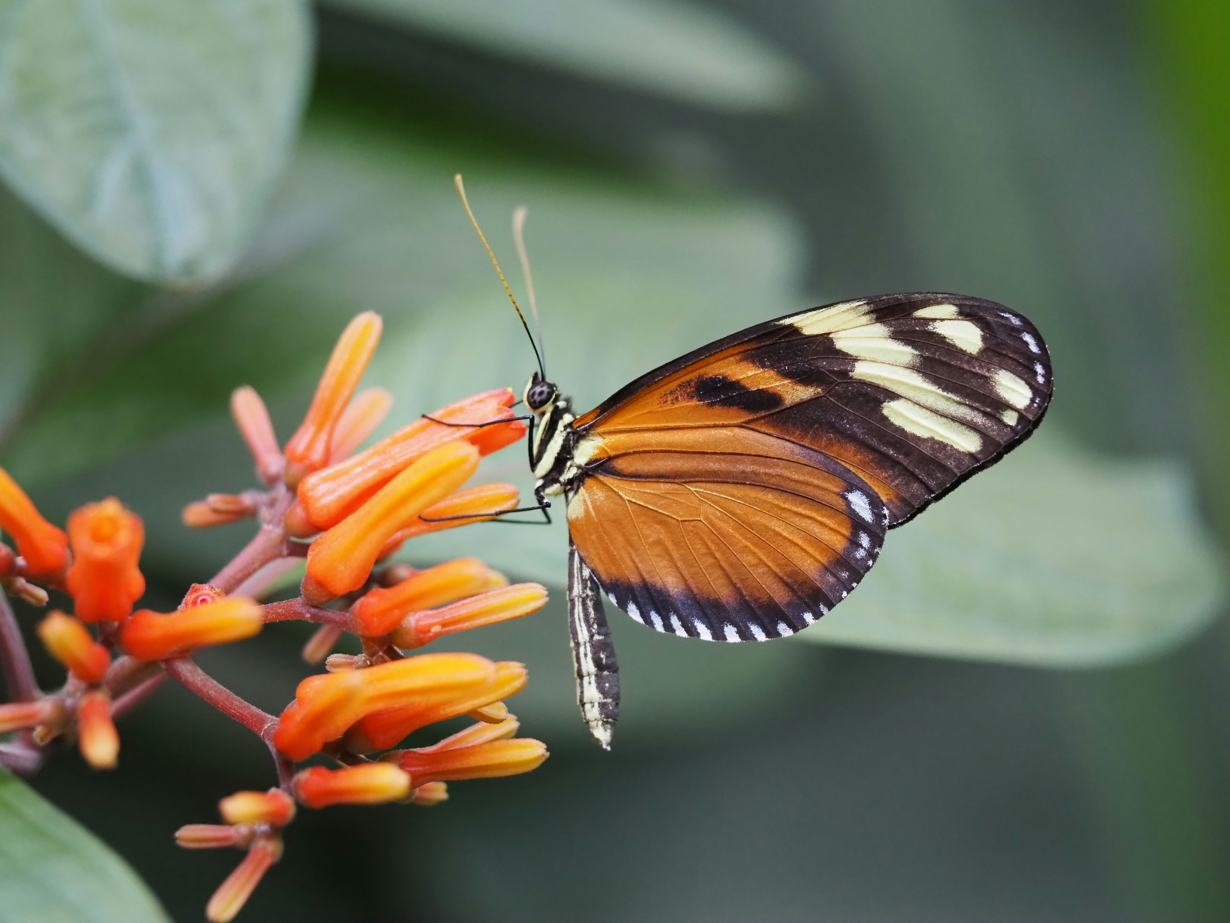 Photo by jackalope00