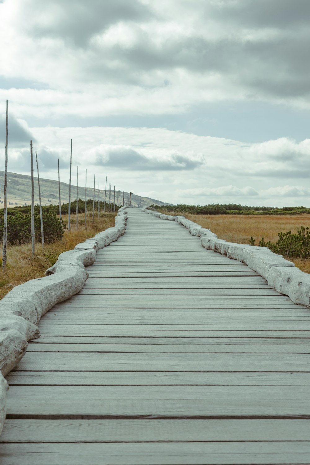 a wooden walkway with grass and trees